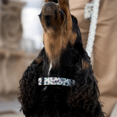 Dukier Coleira para cão Bug