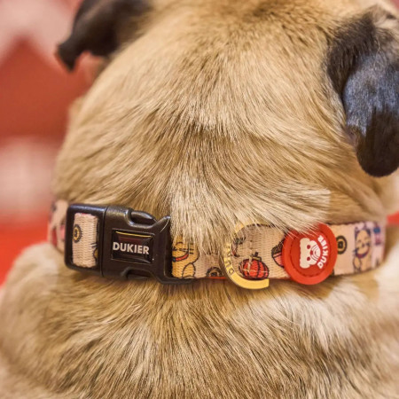 Dukier Coleira Asian