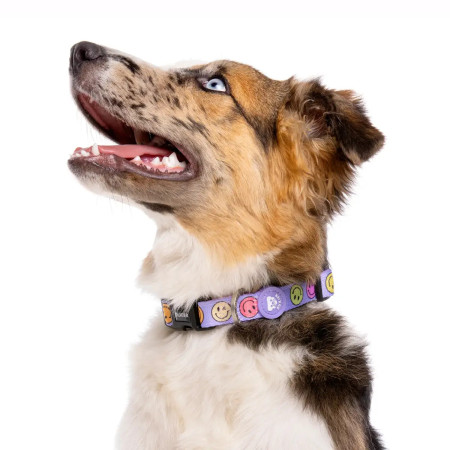 Dukier Coleira para cão Smiley