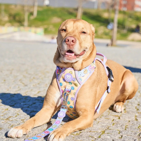 Dukier Peitoral de cão para caminhada Trail Smiley