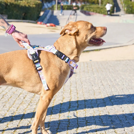 Dukier Peitoral de cão para caminhada Trail Smiley