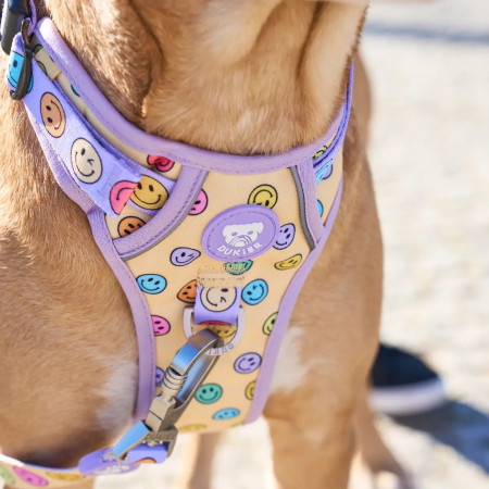 Dukier Peitoral de cão para caminhada Trail Smiley