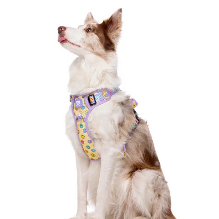 Dukier Peitoral de cão para caminhada Trail Smiley