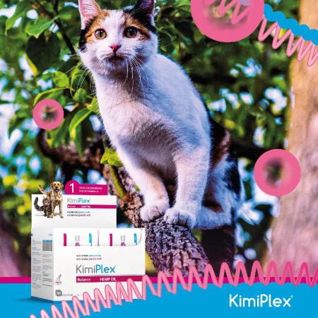 Kimiplex Cápsulas - Hemp Oil + PEA