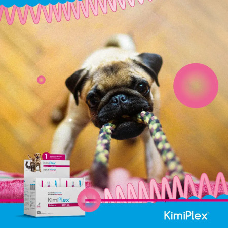 Kimiplex Cápsulas - Hemp Oil + PEA