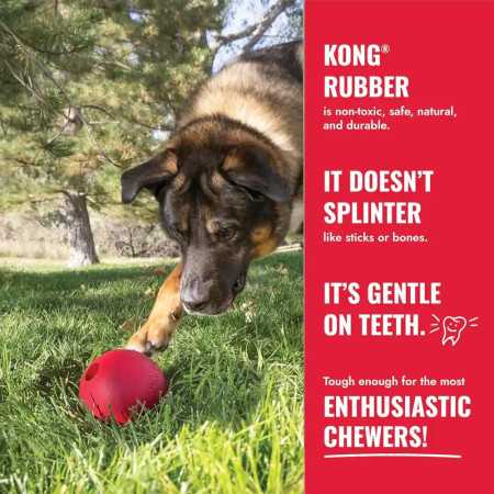 Kong Classic Bola com buraco para cão