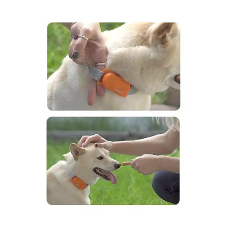 ReddiPet No Bark Collar Coleira sem choques Anti-ladrar