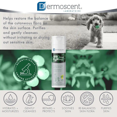 Dermoscent Champô Pyoclean para cães e gatos