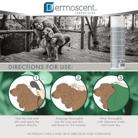 Dermoscent Champô Pyoclean para cães e gatos