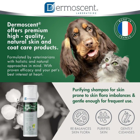 Dermoscent Champô Pyoclean para cães e gatos