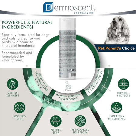 Dermoscent Champô Pyoclean para cães e gatos