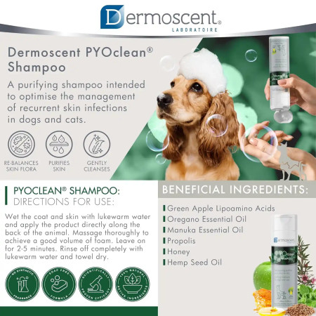 Dermoscent Champô Pyoclean para cães e gatos