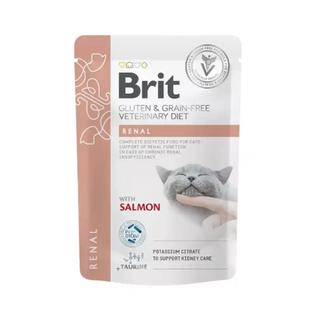 Brit Care Renal com Salmão em molho