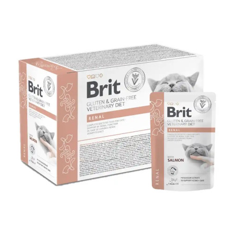 Brit Care Renal com Salmão em molho