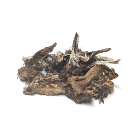 Loja do Cão Orelhas de Borrego com pêlo