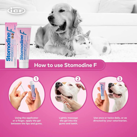 Stomodine gel para as gengivas para tratamento da gengivite em animais