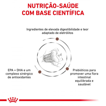 Royal Canin Veterinary Ração para gato Gastrointestinal Fiber Response
