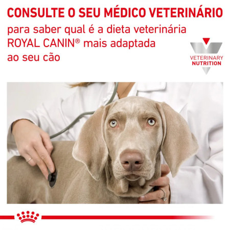 Royal Canin Veterinary Ração para cão Gastro Intestinal