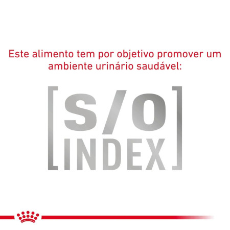 Royal Canin Vet Gastro Intestinal Low Fat Small Dog