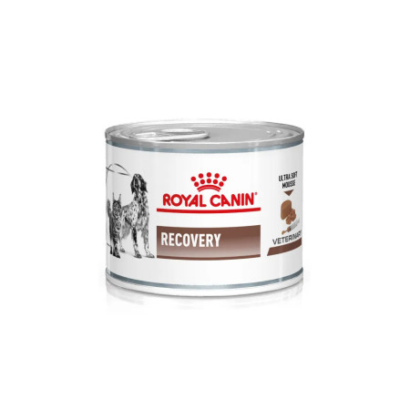 Royal Canin Veterinary Mousse suave para cães e gatos em recuperação