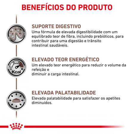 Royal Canin Vet Gastro Intestinal Feline fatias em molho para gato