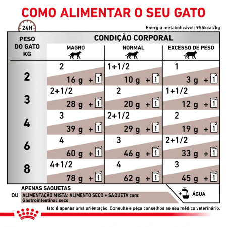 Royal Canin Vet Gastro Intestinal Feline fatias em molho para gato