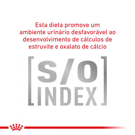 Royal Canin Vet Gastro Intestinal Feline fatias em molho para gato