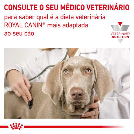 Royal Canin Patê húmido veterinário para cães com problemas renais