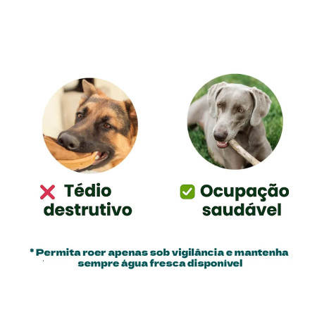 Kaudas Pau de madeira natural da África do Sul