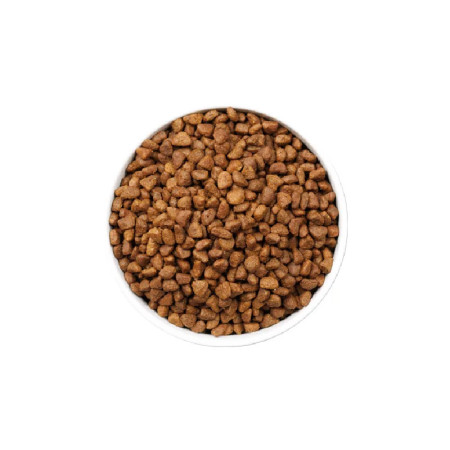 Ownat Ultra Cat Ageing Ração seca natural para gatos seniores