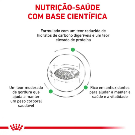 Royal Canin Vet Cat Diabetic Ração seca para gato diabéticco