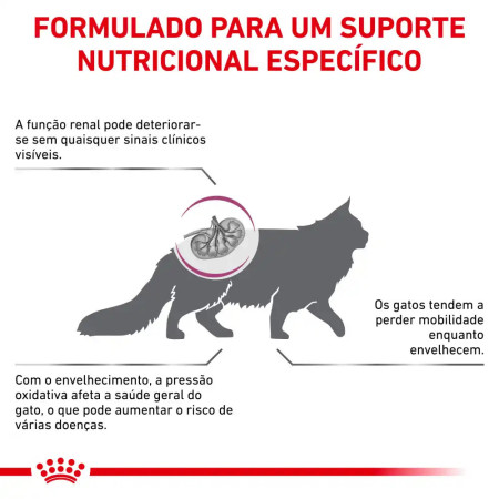 Royal Canin Vet Early Renal Feline