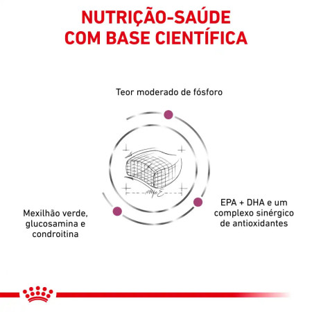 Royal Canin Vet Early Renal Feline
