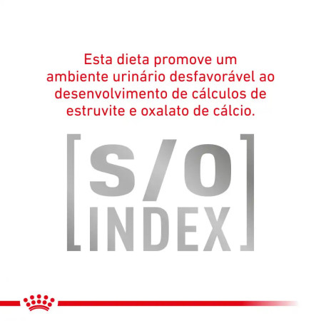 Royal Canin Vet Early Renal Feline