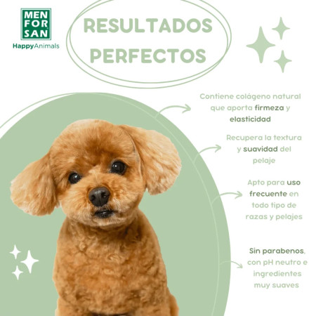 Men For San Dog Champô Hidratante de maçã verde