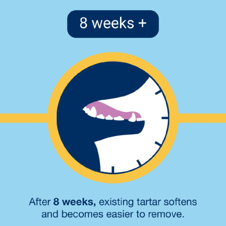 Proden Gato PlaqueOff