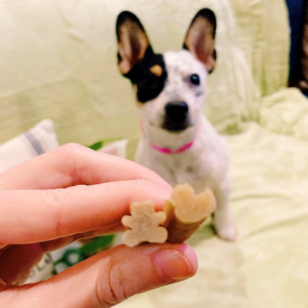 Whimzees Daily Dental Puppy Treats