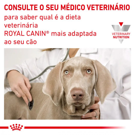 Royal Canin Ração veterinária para cães Urinary S/O
