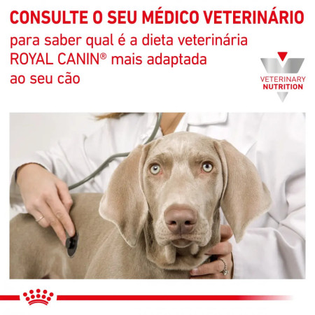 Royal Canin Veterinaria Ração humida Renal em patê para cão