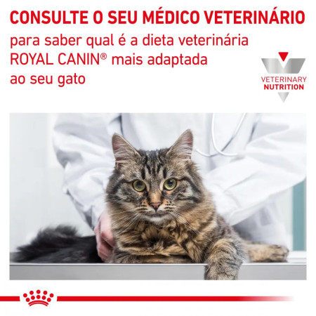 Royal Canin Vet Wet Renal Feline with Fish em molho