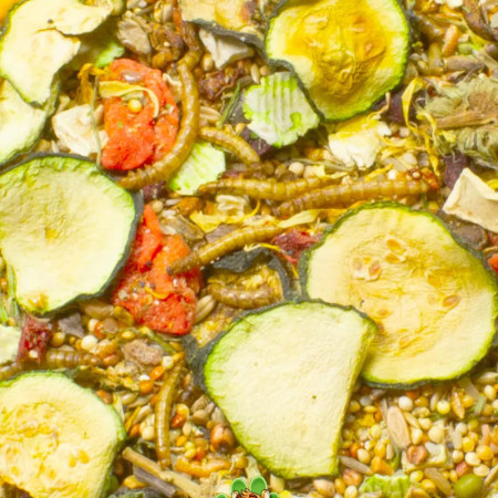 Jr Farm Food Alimento para Hamster Anão Adulto