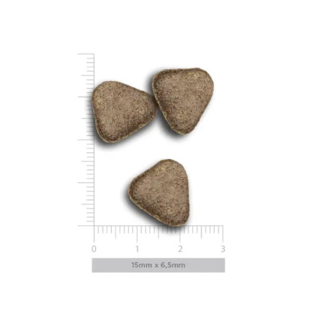 Amanova Adult Dog Digestive