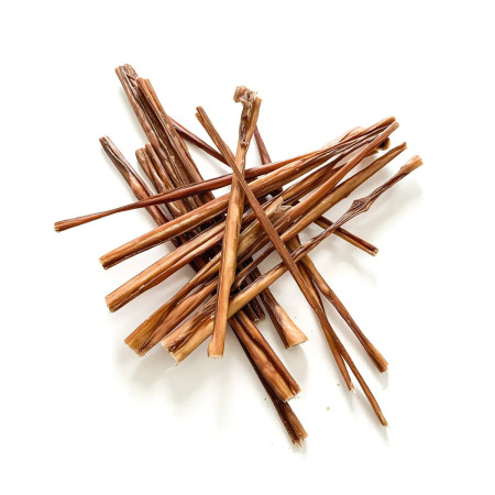 Loja do Cão Esparguete de porco Intestino