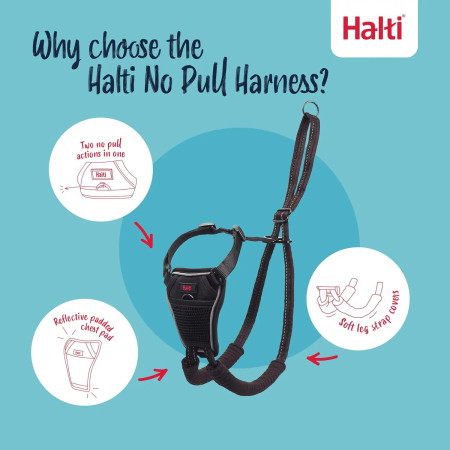 Halti No Pull Harness peitoral anti-puxão para cão