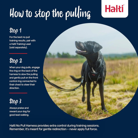 Halti No Pull Harness peitoral anti-puxão para cão