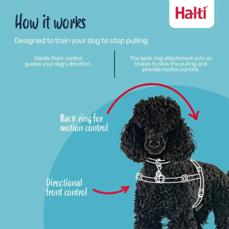 Halti Harness peitoral anti-puxão controlo para cão