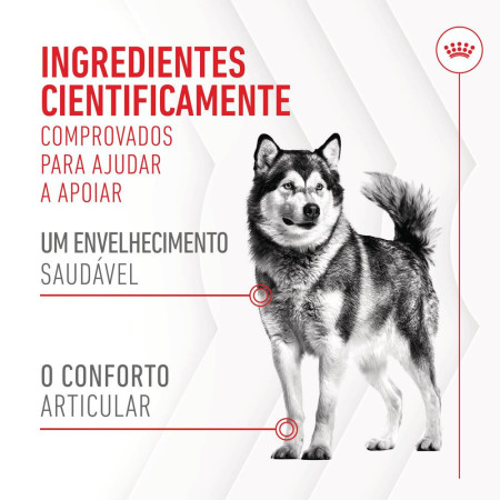 Royal Canin Biscoitos Joint & Ageing Chews para cães