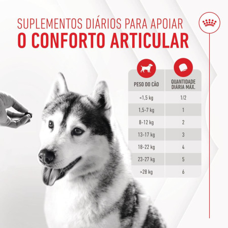 Royal Canin Biscoitos Joint & Ageing Chews para cães