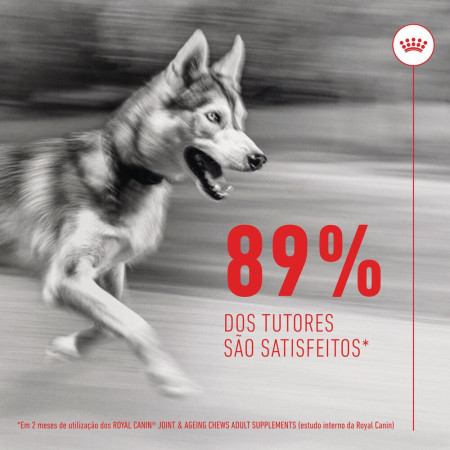 Royal Canin Biscoitos Joint & Ageing Chews para cães