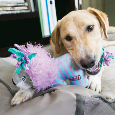 Kong Carnival Knots Leão